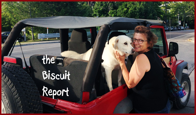 Biscuit8-11-15