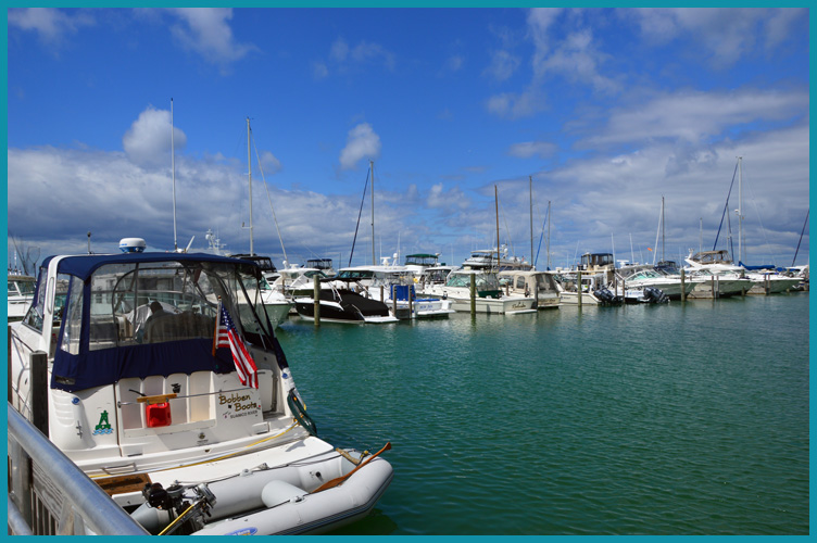 Harbor8-11-15